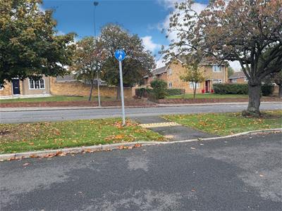 Picture 20